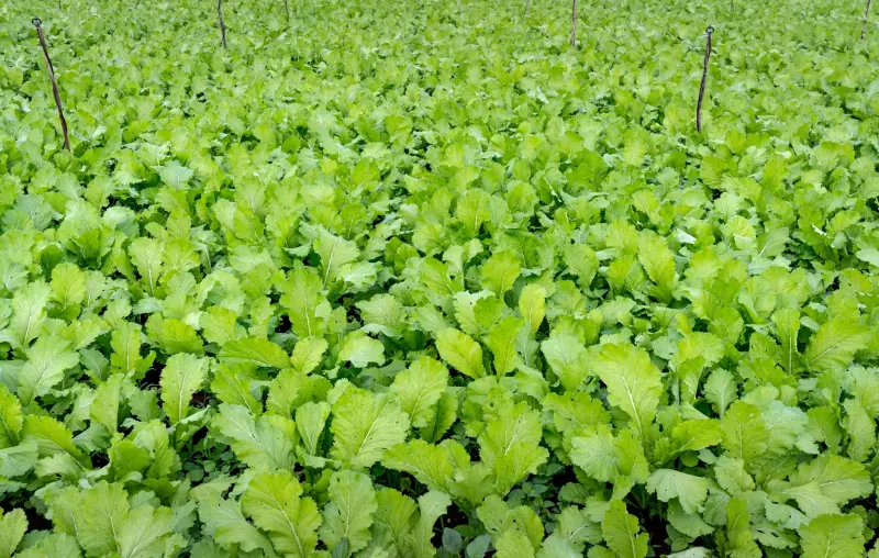沈阳合信消防工程：常见消防器材型号参数与适用场景对比分析