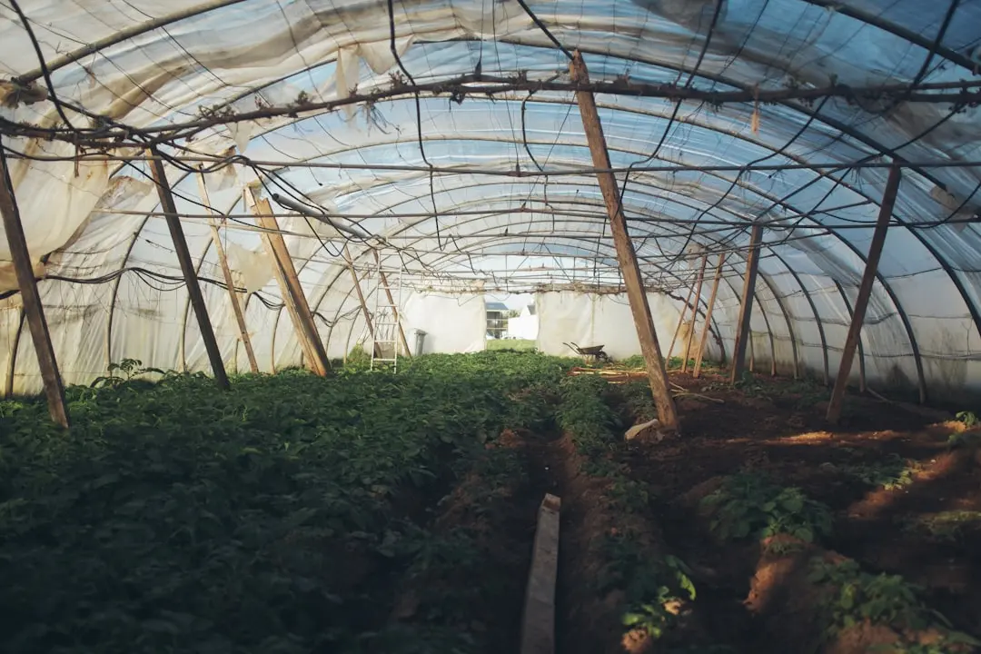 消防工程施工中常见质量通病及预防控制措施